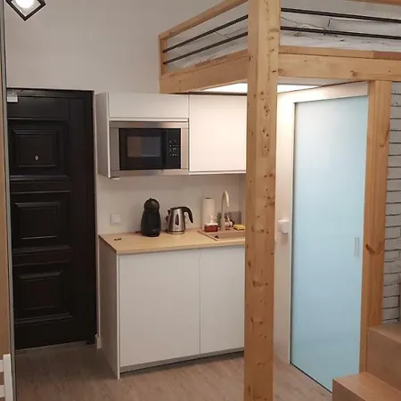 Apartament Warszawski 公寓 *